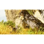ARK: Survival Ascended – PlayStation 5 - Image 4