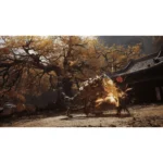 Black Myth: Wukong – PlayStation 5 - Image 4